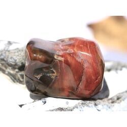 Versteinertes Holz Trommelstein - Sonderqualit�t - ca. 3,1 cm x 2,1 cm x 2 cm (Fairer Handel / GKS)