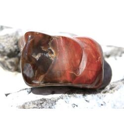 Versteinertes Holz Trommelstein - Sonderqualit�t - ca. 3,1 cm x 2,1 cm x 2 cm (Fairer Handel / GKS)