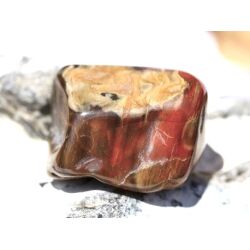 Versteinertes Holz Trommelstein - Sonderqualität - ca. 3,1 cm x 2,1 cm x 2 cm (GKS)