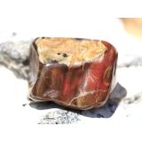 Versteinertes Holz Trommelstein - Sonderqualität -...
