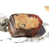 Versteinertes Holz Trommelstein - Sonderqualität - ca. 3,1 cm x 2,1 cm x 2 cm (GKS)