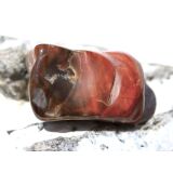 Versteinertes Holz Trommelstein - Sonderqualität - ca. 3,1 cm x 2,1 cm x 2 cm (GKS)