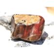 Versteinertes Holz Trommelstein - Sonderqualität - ca. 3,1 cm x 2,1 cm x 2 cm (GKS)