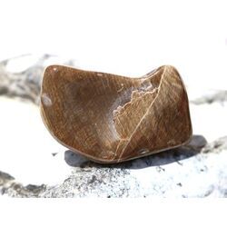 Versteinertes Holz Trommelstein - Sonderqualit�t - ca. 3,7 cm x 2 cm x 1,7 cm (Fairer Handel / GKS)