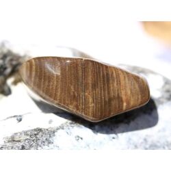 Versteinertes Holz Trommelstein - Sonderqualität - ca. 3,7 cm x 2 cm x 1,7 cm (GKS)