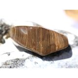 Versteinertes Holz Trommelstein - Sonderqualität - ca. 3,7 cm x 2 cm x 1,7 cm (GKS)