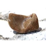 Versteinertes Holz Trommelstein - Sonderqualität - ca. 3,7 cm x 2 cm x 1,7 cm (GKS)