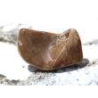 Versteinertes Holz Trommelstein - Sonderqualität - ca. 3,7 cm x 2 cm x 1,7 cm (GKS)