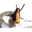 Tigerauge Schmuckstein / Trommelstein gebohrt - schöne Qualität - ca. 3,2 cm x 1,9 cm x 1,4 cm