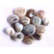 Achat grau-beige Scheibensteine - schöne Qualität - ca. 2,8 - 3,1 cm / ca. 11-15 g