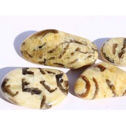 Schriftgranit (Runit / Zebradorit) Trommelsteine - Sonderqualit�t - Rarit�t - ca. 2,6 - 3 cm / 8-10g/St (GKS)