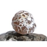 Schlangenhautachat Trommelstein - Sonderqualität - ca. 2,4 cm x 2,1 cm  x 2,2 cm (GKS)