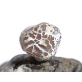 Schlangenhautachat Trommelstein - Sonderqualität - ca. 2,4 cm x 2,1 cm  x 2,2 cm (GKS)
