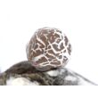 Schlangenhautachat Trommelstein - Sonderqualität - ca. 2,4 cm x 2,1 cm  x 2,2 cm (GKS)