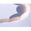 Rosenquarz Armband Navetten geschliffen - ca. 19 cm - Sonderqualität -