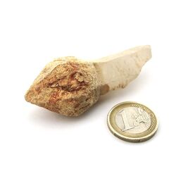 Bergkristall Zepterquarz / Szepterquarz Natur-Kristall - Rarit�t - ca. 7 cm x 3 cm x 2,1 cm