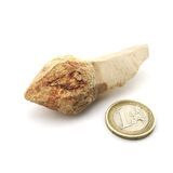 Bergkristall Zepterquarz / Szepterquarz Natur-Kristall -...