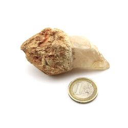 Bergkristall Zepterquarz / Szepterquarz Natur-Kristall - Rarit�t - ca. 7,3 cm x 3,8 cm x 3,3 cm