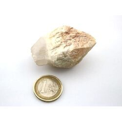 Bergkristall Zepterquarz / Szepterquarz Natur-Kristall - Rarit�t - ca. 5,4 cm x 3,3 cm x 3 cm