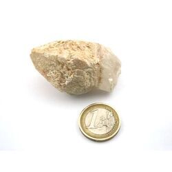 Bergkristall Zepterquarz / Szepterquarz Natur-Kristall - Rarit�t - ca. 5,4 cm x 3,3 cm x 3 cm