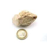 Bergkristall Zepterquarz / Szepterquarz Natur-Kristall -...