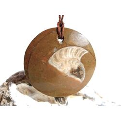 Ammonit in Matrix - XXL Schmuckstein Cabochon /...