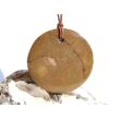 Ammonit in Matrix - XXL Schmuckstein Cabochon / Scheibenstein gebohrt - ca. 4 cm x 4 cm x 0,8 cm