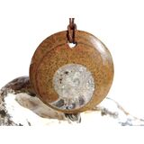 Ammonit in Matrix - XL Schmuckstein Cabochon /...