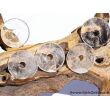 Bergkristall Donut Edelstein 37 - 40 mm (5-7 mm stark)