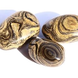 Stromatolith Trommelsteine - Sonderqualitt - ca. 2,5 cm / ca. 10g/St (GKS)