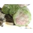 Wassermelonenturmalin XXL Kristallstäbe / Rohsteinform gebohrt - Rarität - Sonderqualität - ca. 4,2 cm x 3,2 cm x 2,3 cm