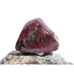 Eudialyt Trommelstein - Sonderqualitt - ca. 2,6 cm x 2,5 cm x 1,6 cm (GKS)