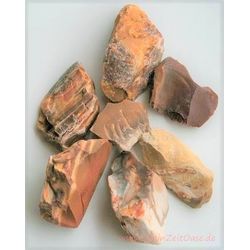 Versteinertes Holz Wassersteine-Sonderqualitt / Rohsteine extra angetrommelt - ca. 50 g (GKS)