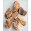 Versteinertes Holz Wassersteine-Sonderqualität / Rohsteine extra angetrommelt - ca. 50 g (GKS) - Restbestand -