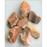 Versteinertes Holz Wassersteine-Sonderqualit�t /...