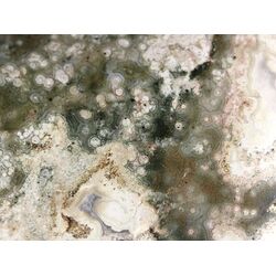 Ozeanachat XXXL Rohstein mit Anschliff (Ozeanchalcedon / Ozeanjaspis) - ca. 5,4 cm x 4,9 cm x 1,5 cm