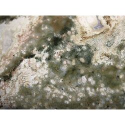 Ozeanachat XXXL Rohstein mit Anschliff (Ozeanchalcedon / Ozeanjaspis) - ca. 5,4 cm x 4,9 cm x 1,5 cm