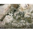 Ozeanachat XXXL Rohstein mit Anschliff (Ozeanchalcedon / Ozeanjaspis) - ca. 5,4 cm x 4,9 cm x 1,5 cm
