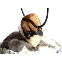 Peanutwood (versteinertes Holz) Trommelstein gebohrt - Sonderqualitt - Raritt - ca. 3,4 cm x 2,5 cm x 1,9 cm