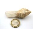 Bergkristall "Zepterquarz / Szepterquarz" Natur-Kristall - Rarität - ca. 6,4 cm x 2,4 cm x 2,4 cm