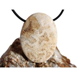 Versteinerte Koralle XXL Schmuckstein Cabochon /...