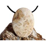 Versteinerte Koralle XXL Schmuckstein Cabochon /...
