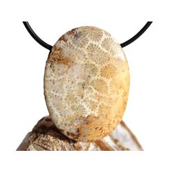 Versteinerte Koralle XXL Schmuckstein Cabochon /...