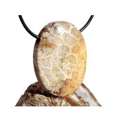 Versteinerte Koralle XXL Schmuckstein Cabochon / Scheibenstein gebohrt - ca. 4 cm x 3 cm x 0,9 cm