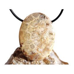 Versteinerte Koralle XXL Schmuckstein Cabochon / Scheibenstein gebohrt - ca. 4 cm x 3 cm x 0,9 cm