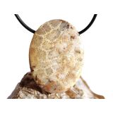 Versteinerte Koralle XXL Schmuckstein Cabochon / Scheibenstein gebohrt - ca. 4 cm x 3 cm x 0,9 cm