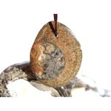 Ammonit in Matrix - Schmuckstein Cabochon / Scheibenstein...