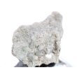 Apophyllit grün Kristallstufe / Rohstein - Rarität - ca. 3,6 cm x 2,6 cm x 2,2 cm