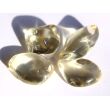 Goldlabradorit Trommelsteine (Feldspat) - AAA-Sonderqualität - ca. 1,5 - 2 cm / ca. 2,5 - 3 g/St (GKS)