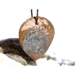 Ammonit in Matrix - Schmuckstein Cabochon / Scheibenstein gebohrt - ca. 3 cm x 3 cm x 0,5 cm